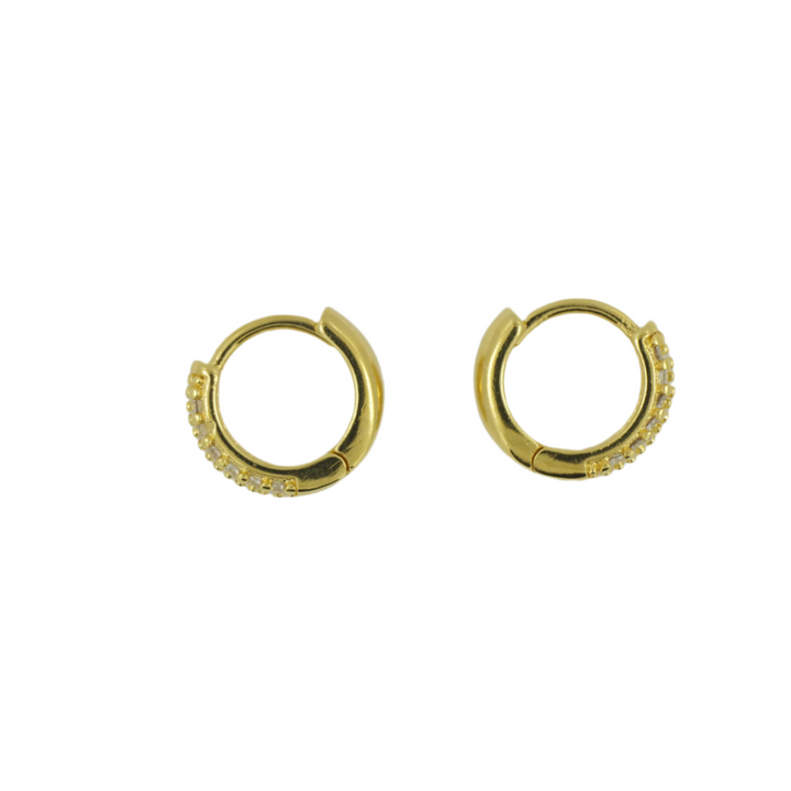 Small hoop earrings