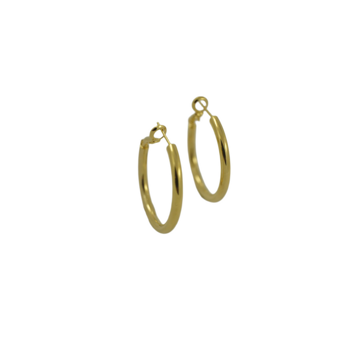 Shiny Hoop Earrings Gold